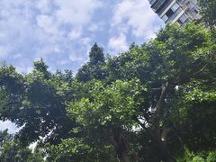 -蓉府金足印象影院式足道·按摩·SPA·美食(青白江31分店)