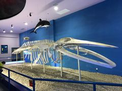 -福州罗源湾海洋世界旅游区