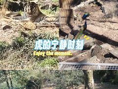 -杭州野生动物世界