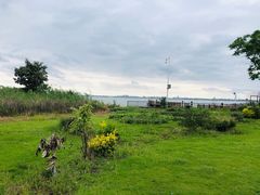 -七的湖·晚芳亭·阳澄湖农家菜·大闸蟹(莲花岛店)