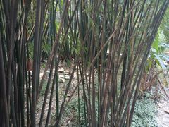 -天赐温泉