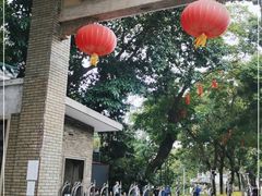 -荔湾湖公园