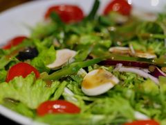 -Tubestation站点比萨(五道营店)