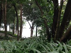 -西樵山风景名胜区-天湖公园