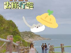-广东惠东海龟国家级自然保护区