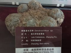 -中国西峡恐龙遗迹园