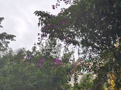 -蓉府金足印象影院式足道·按摩·SPA·美食(青白江31分店)