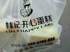 -林记开心动物奶油生日蛋糕(江南春晓店)