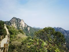 -大岭沟猕猴桃谷风景区