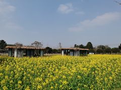 -洪湖家庭农场·团建·露营·会议