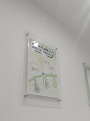 -凡碧诗毛孔清洁收细