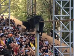 -清迈夜间动物园