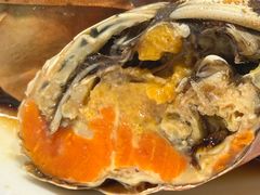 -阿毛饭店·宁波老字号(儿童公园旗舰店)