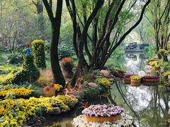 -上海共青森林公园