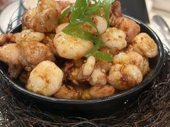 -丁老爷子苏香圆