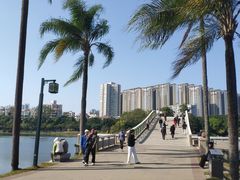 -南宁南湖公园