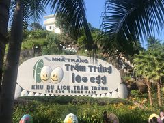 -100蛋泥浆浴