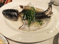 -稻香酒家·35年老字号(侨光店)