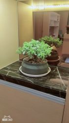 点击看大图 -ROYEA茹彦祛痘·问题肌肤修护中心