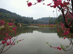 android_upload_pic-南国桃园旅游度假区