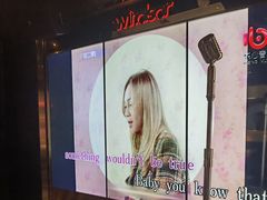-温莎KTV(珠江路店)