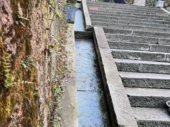 -小团圆灶台鱼·百城头牌菜(千岛湖店)