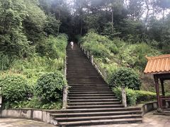 -铁山坪森林公园