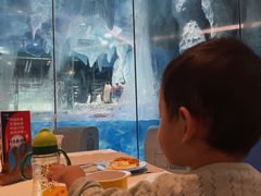 -帝企鹅自助餐厅•儿童岛•真企鹅(长隆企鹅酒店)