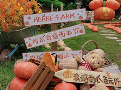 -HERRE·FARM 赫尔露营农场·团建聚会包场