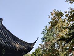 -兴福禅寺