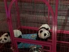 -唯尚主题式KTV(红谷滩店)