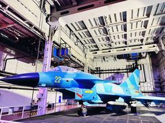 -泰达航母主题公园