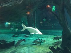 -华夏文旅海洋公园