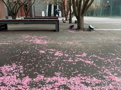 -北京奥林匹克公园