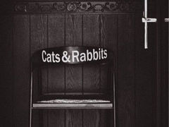 iphone_upload_pic-Cats&Rabbits猫兔酒吧