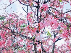 -宝墨园景区