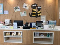 -爱妮康宠物医院·干细胞免疫细胞·肿瘤·心脏(张江店)