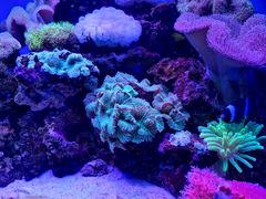 -多彩贵州城极地海洋世界