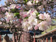 -大钟寺古钟博物馆