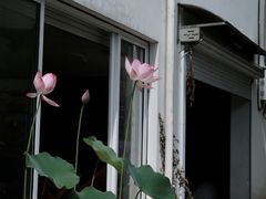 -原乡芦茨咖啡