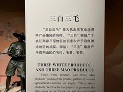 -余姚博物馆