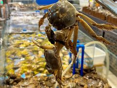 -半岛听涛蒸汽海鲜自助(K11店)