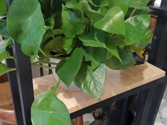 -蓝珊甄选海鲜自助·火锅大排档(近阿那亚店)