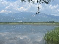 -野鸭湖国家湿地公园