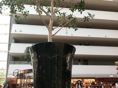 -RISE RESTAURANT(滨海湾金沙店)