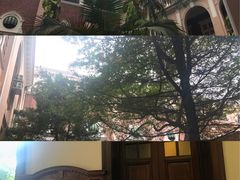 -香港大学