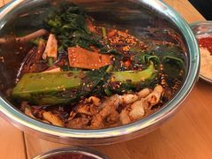 -舒记钵钵鸡