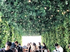 -顶层酒吧ROOF(上海艾迪逊酒店)