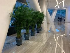 -凤凰中心