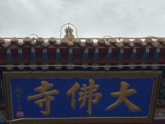 -张掖大佛寺景区